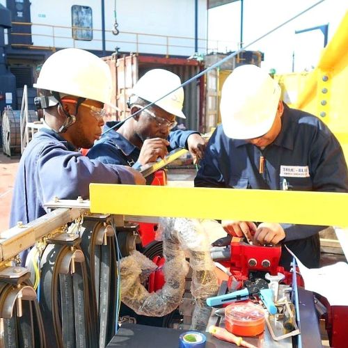 Okan PRP Platform Project Image 16.jpg