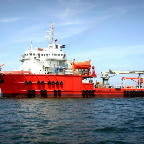 Marine Cranes Image 38.jpg
